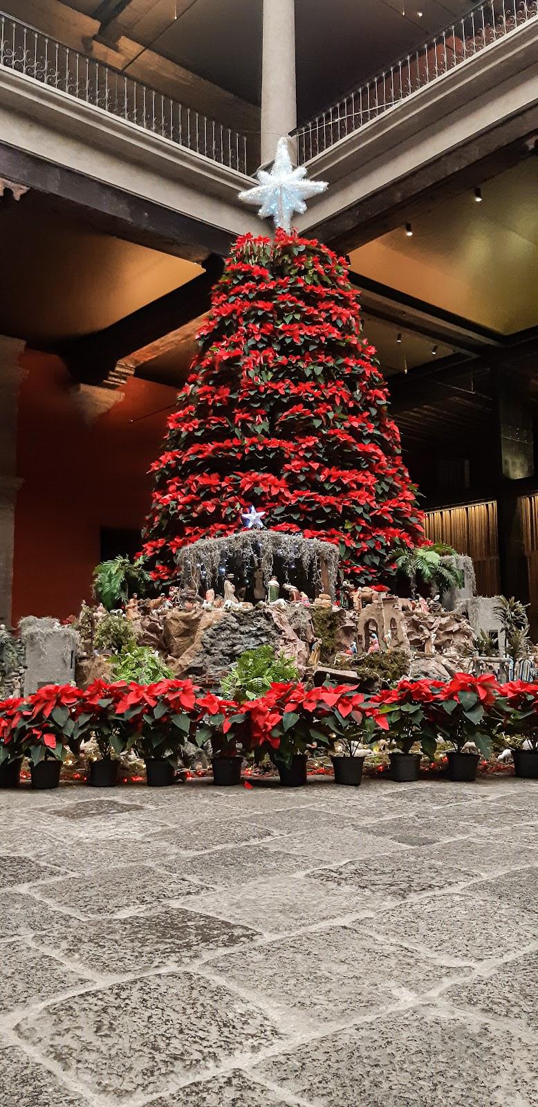 Nacional Monte de Piedad Casa Matriz galería 9