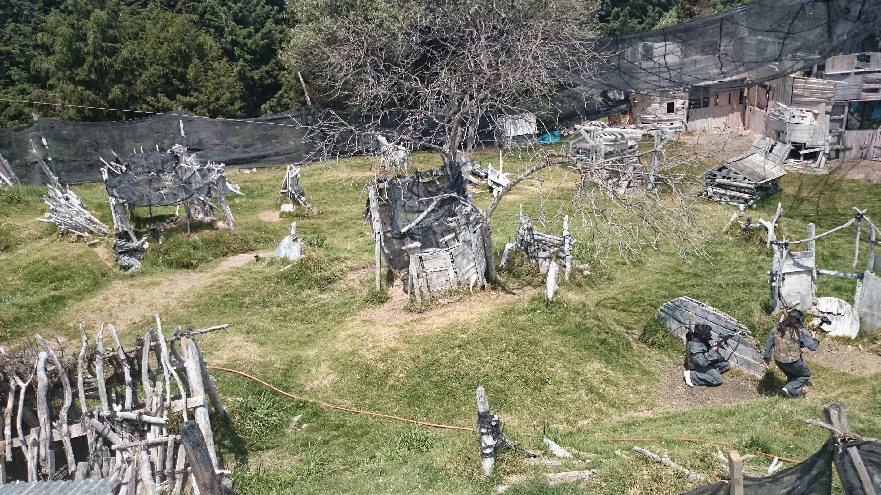 GOTCHA GLA (Las águilas) galería 2