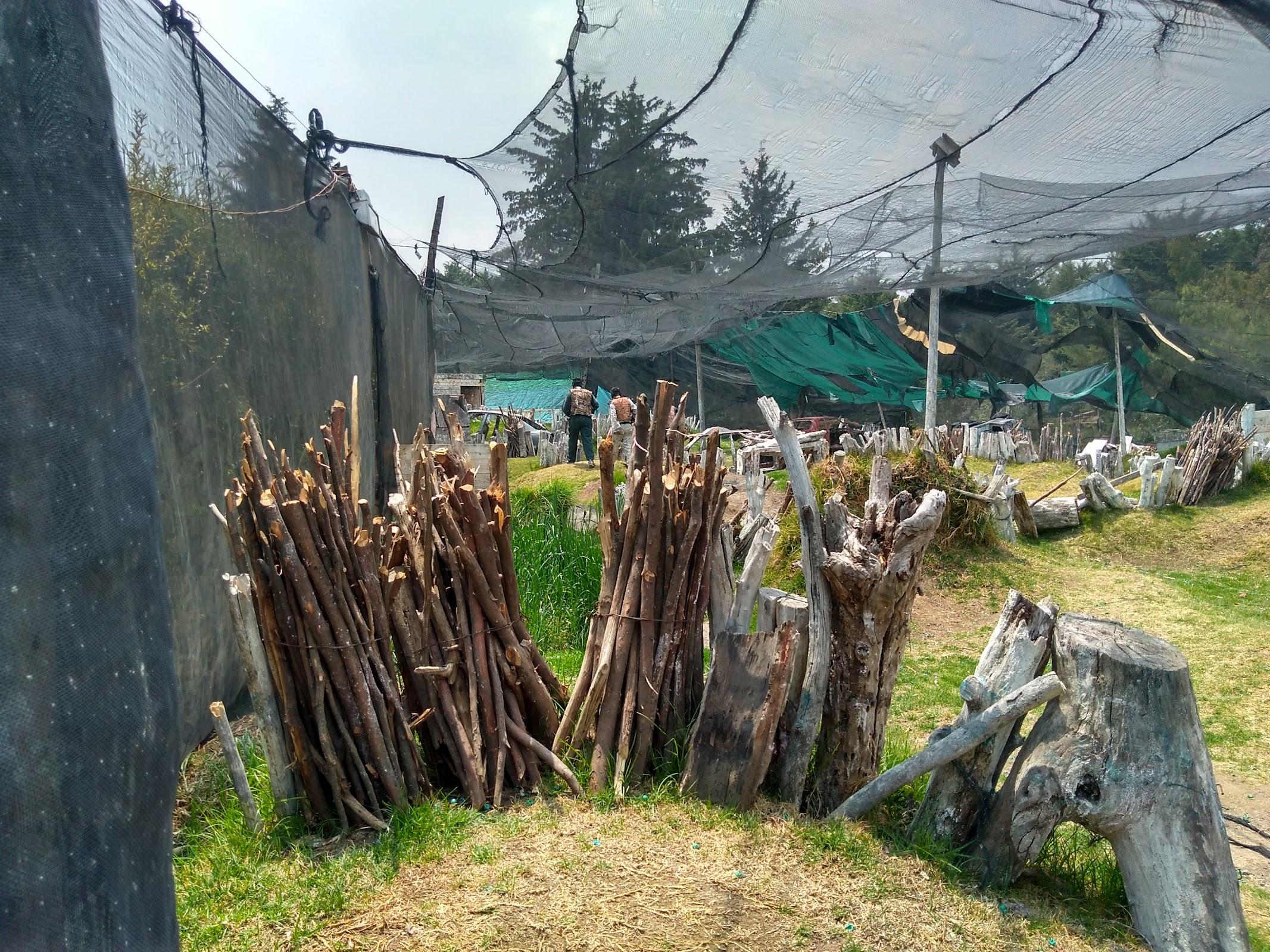 GOTCHA GLA (Las águilas) galería 4