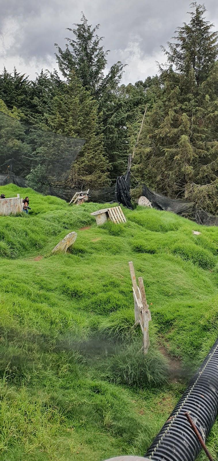 GOTCHA GLA (Las águilas) galería 9