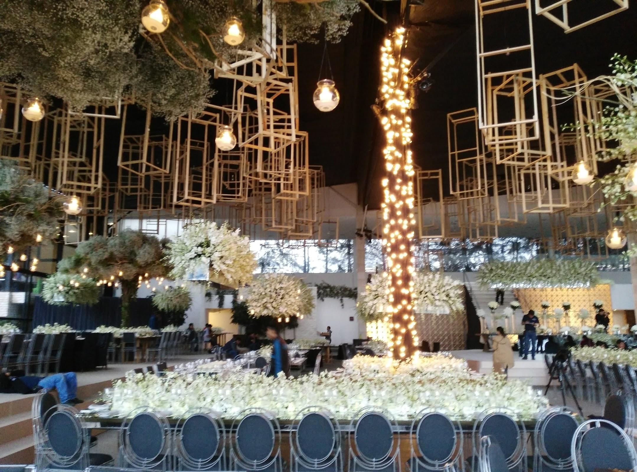 GOTCHA GLA (Las águilas) galería 10