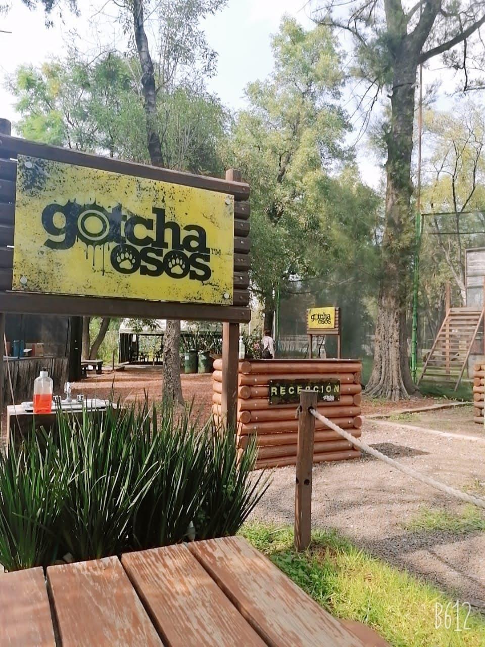 Gotcha Osos | CDMX (Velódromo) galería 6