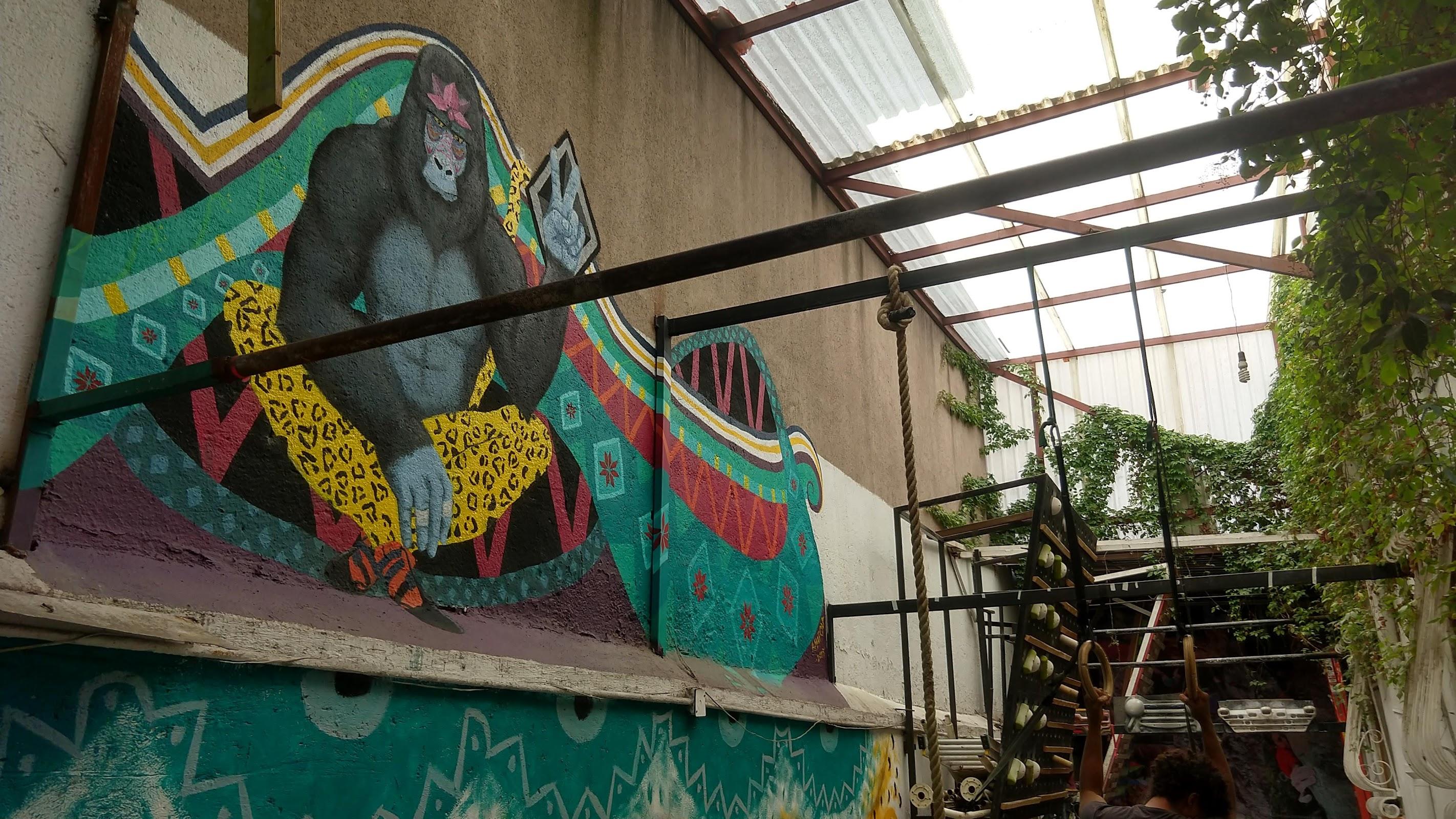 Onix Sala De Escalada galería 8