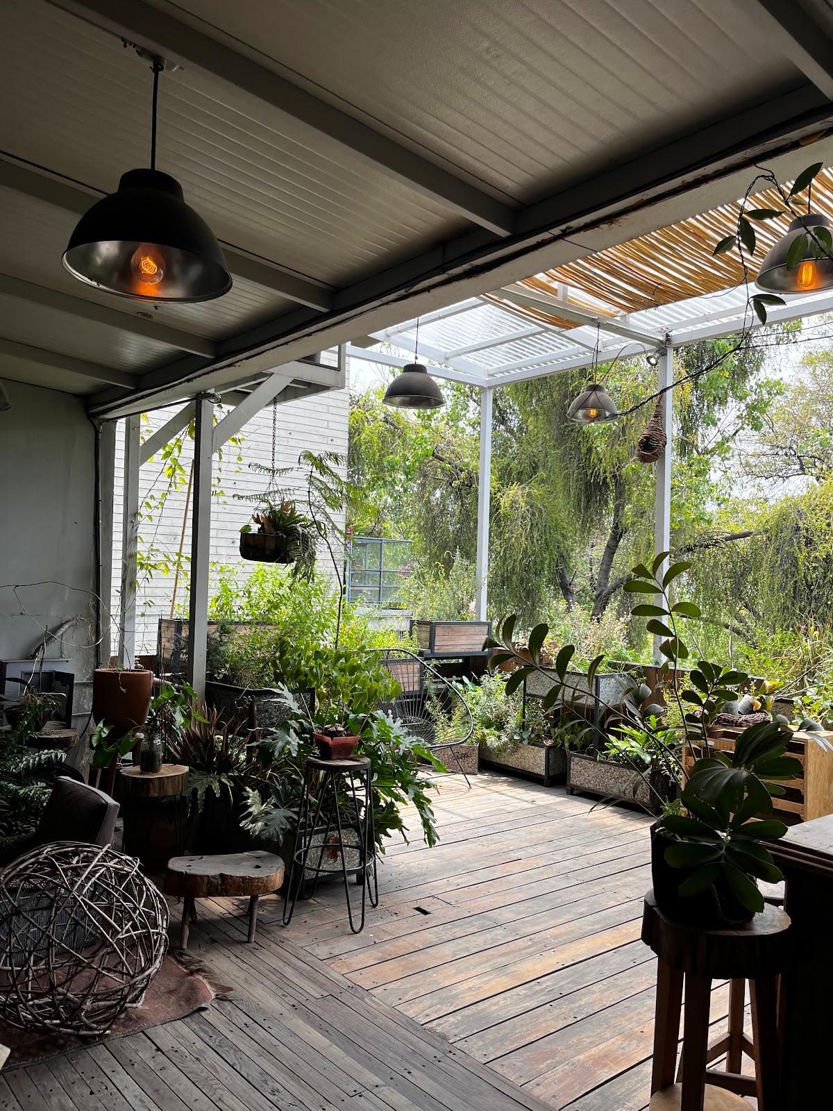 qi Yoga & Meditación galería 2