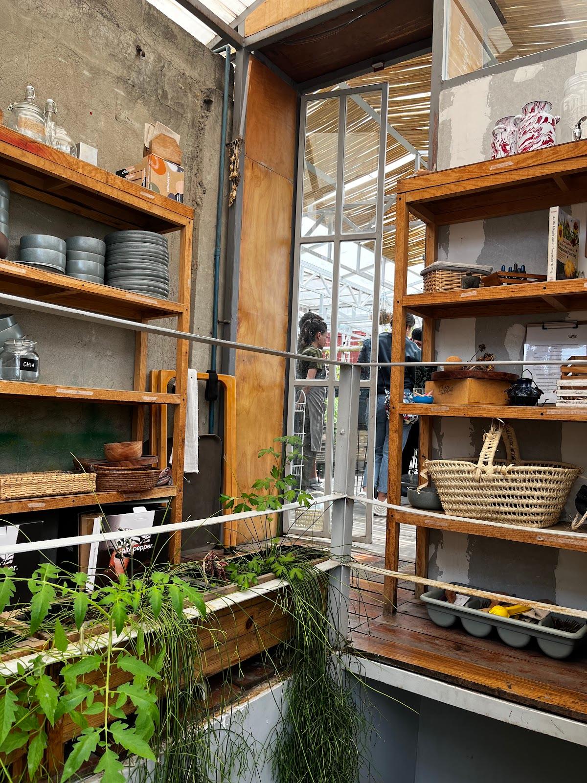 qi Yoga & Meditación galería 3