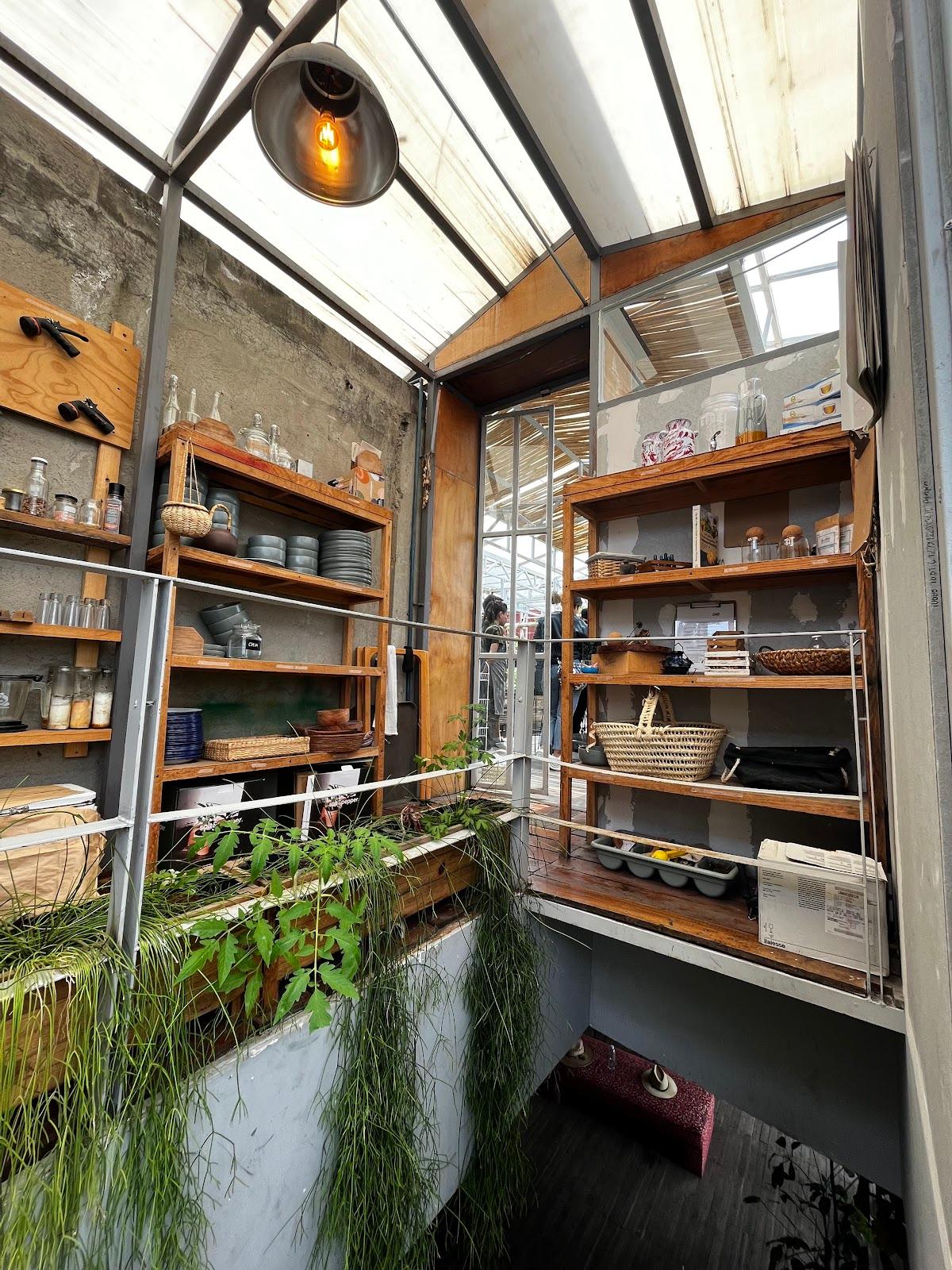 qi Yoga & Meditación galería 6