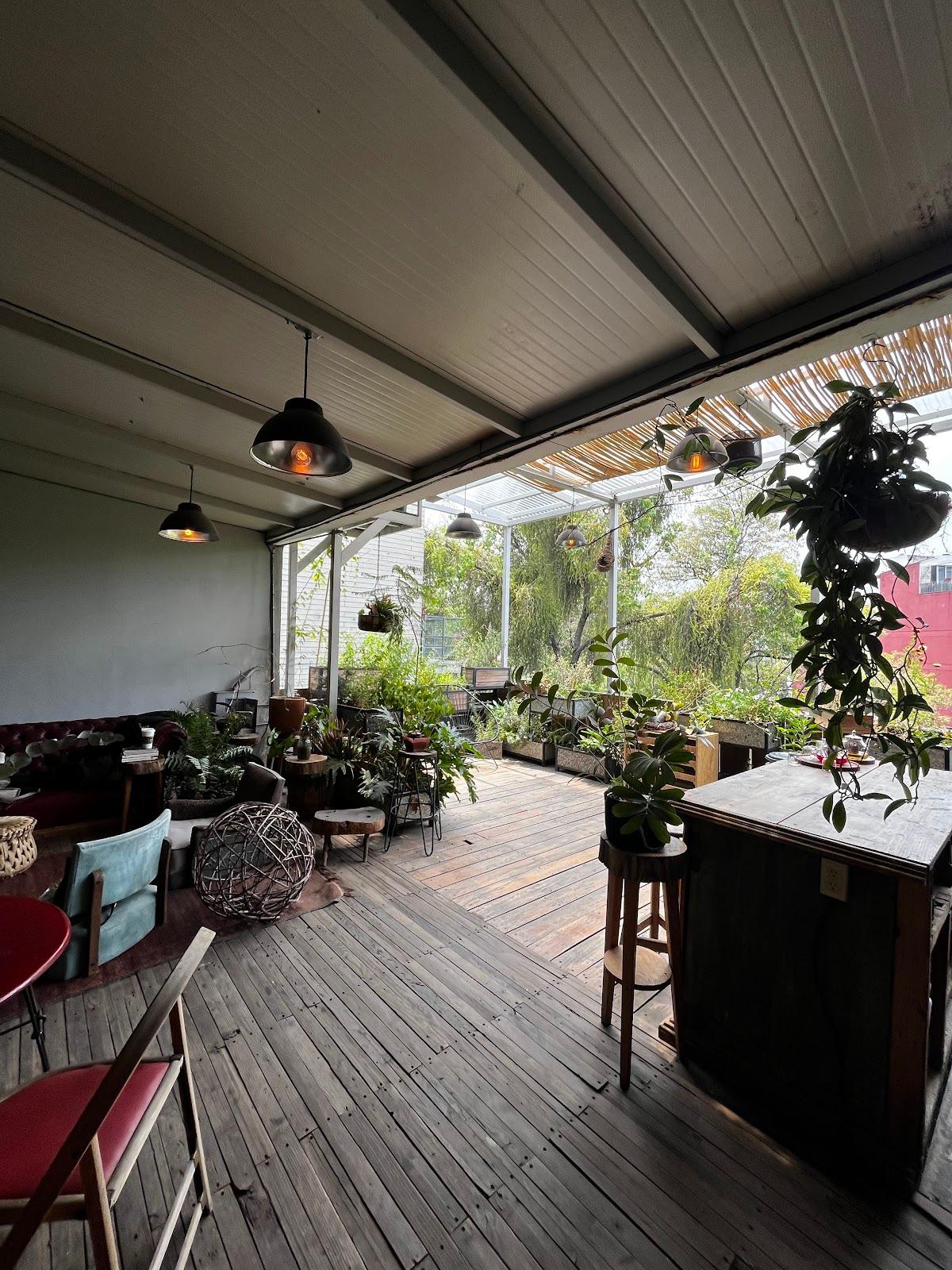 qi Yoga & Meditación galería 7