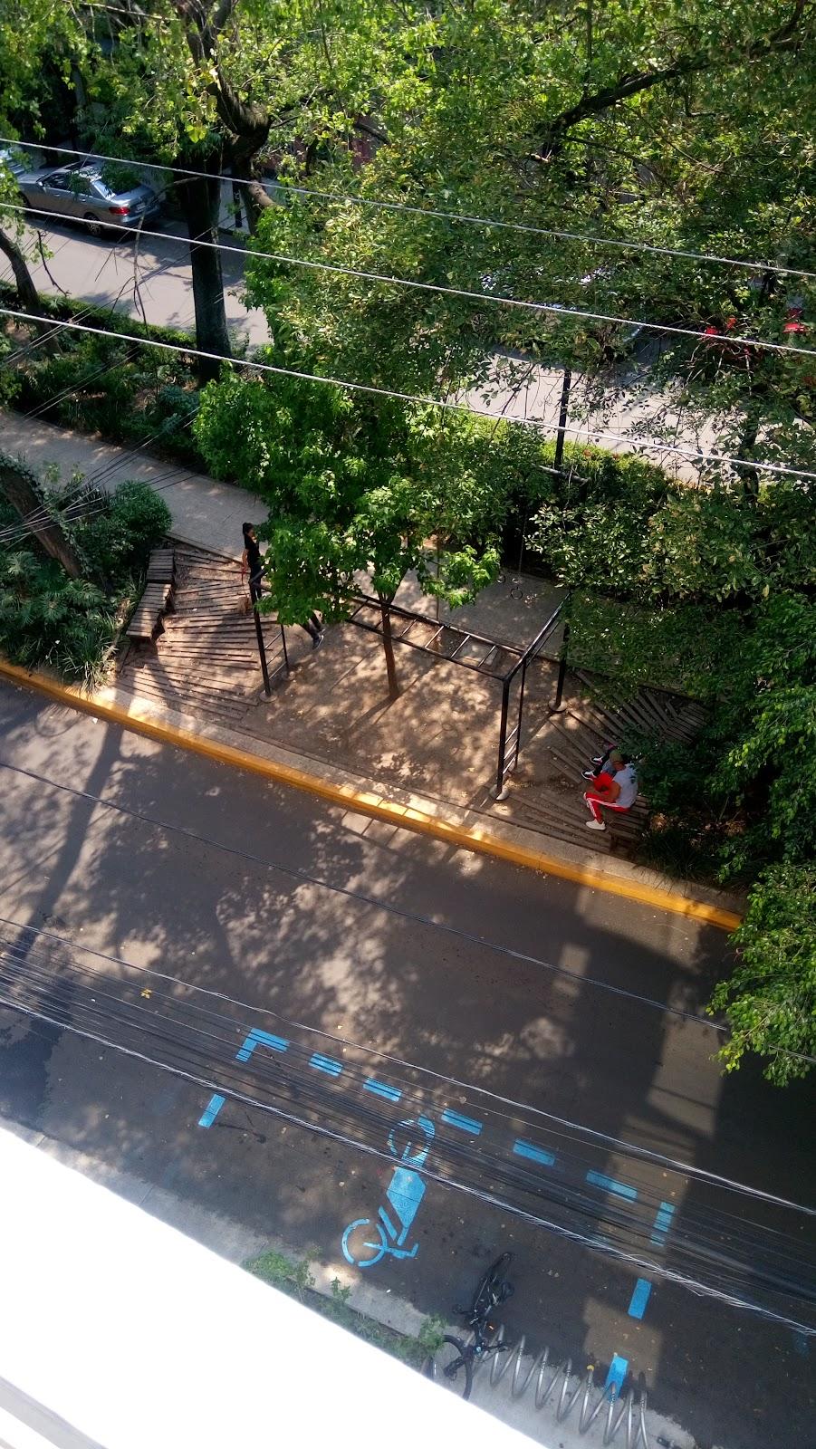 qi Yoga & Meditación galería 8