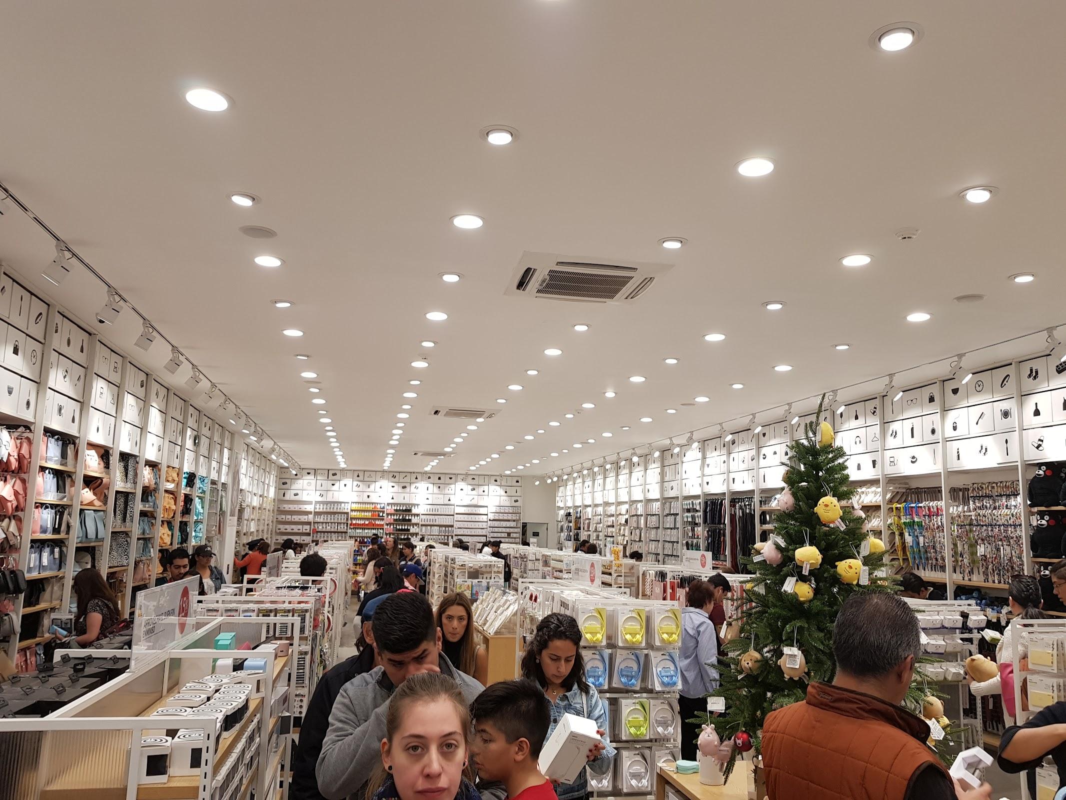 Paseo Acoxpa galería 8