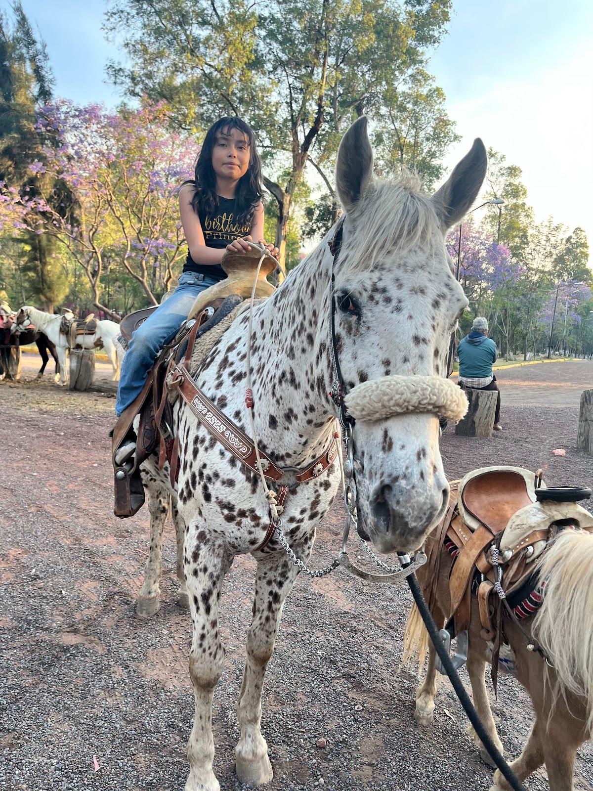 Bosque de Nativitas galería 3
