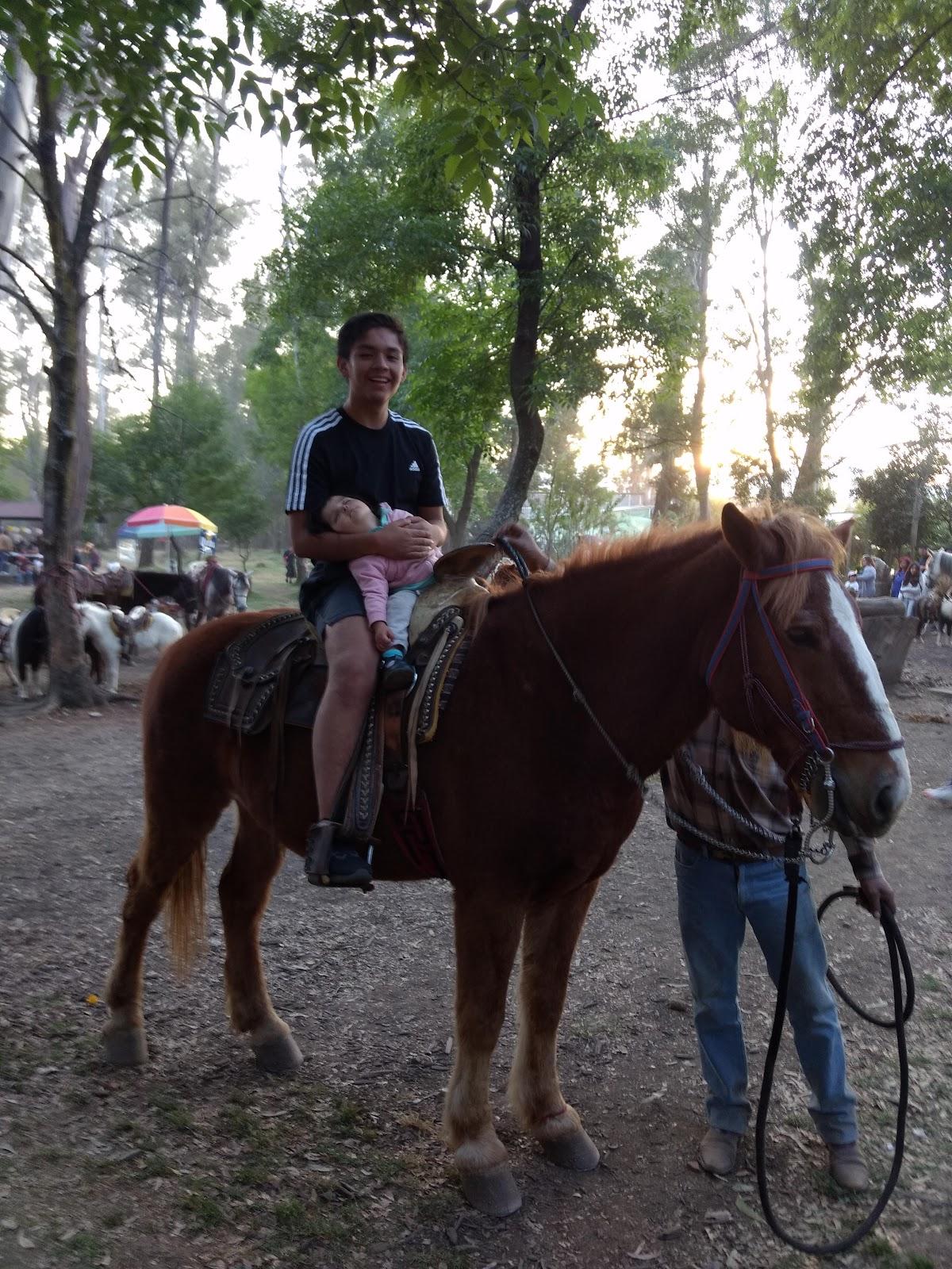 Bosque de Nativitas galería 6