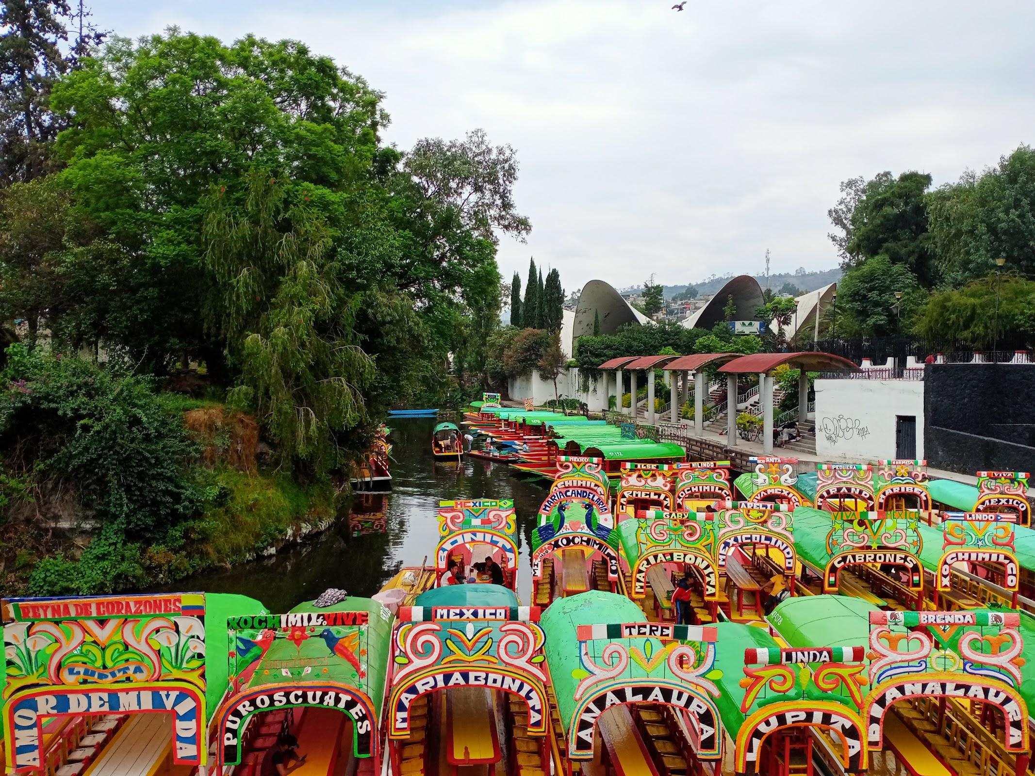 Bosque de Nativitas galería 7