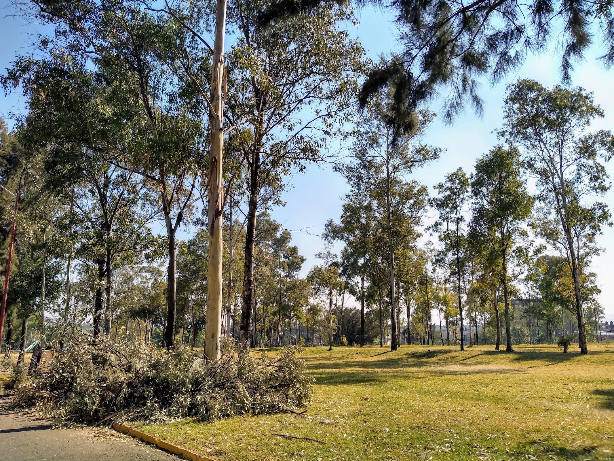 Parque Cuitláhuac galería 6