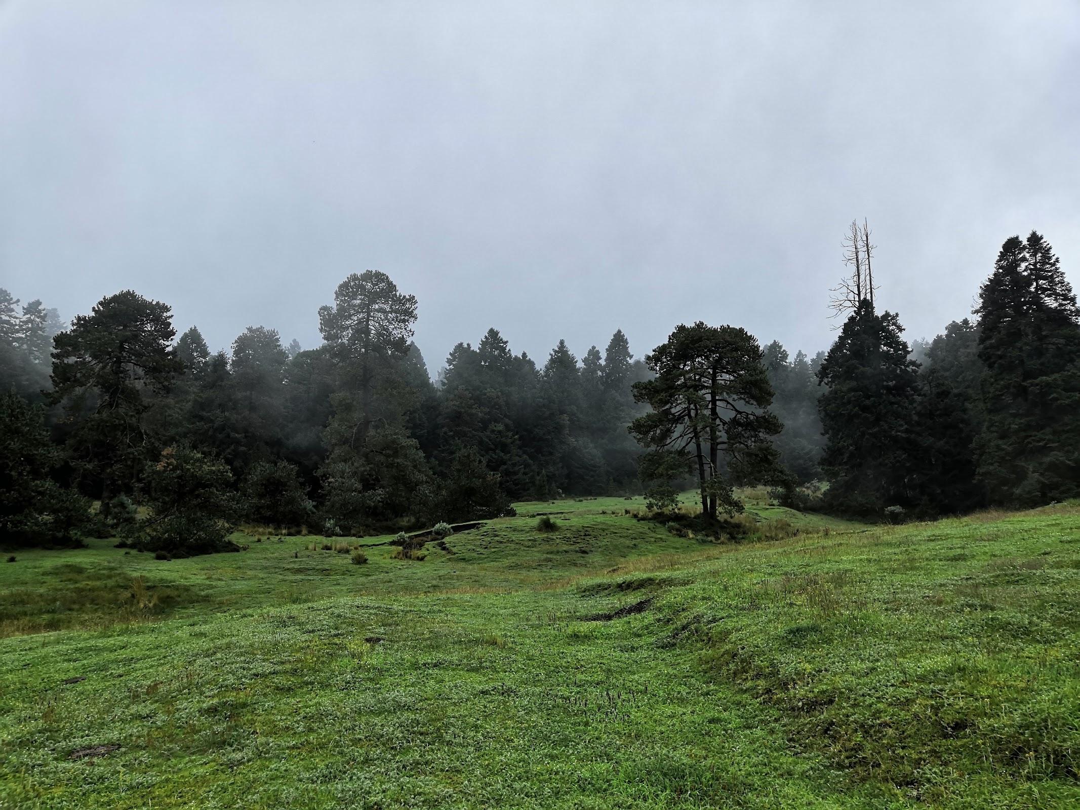 Parque Ejidal San Nicolás Totolapan galería 5
