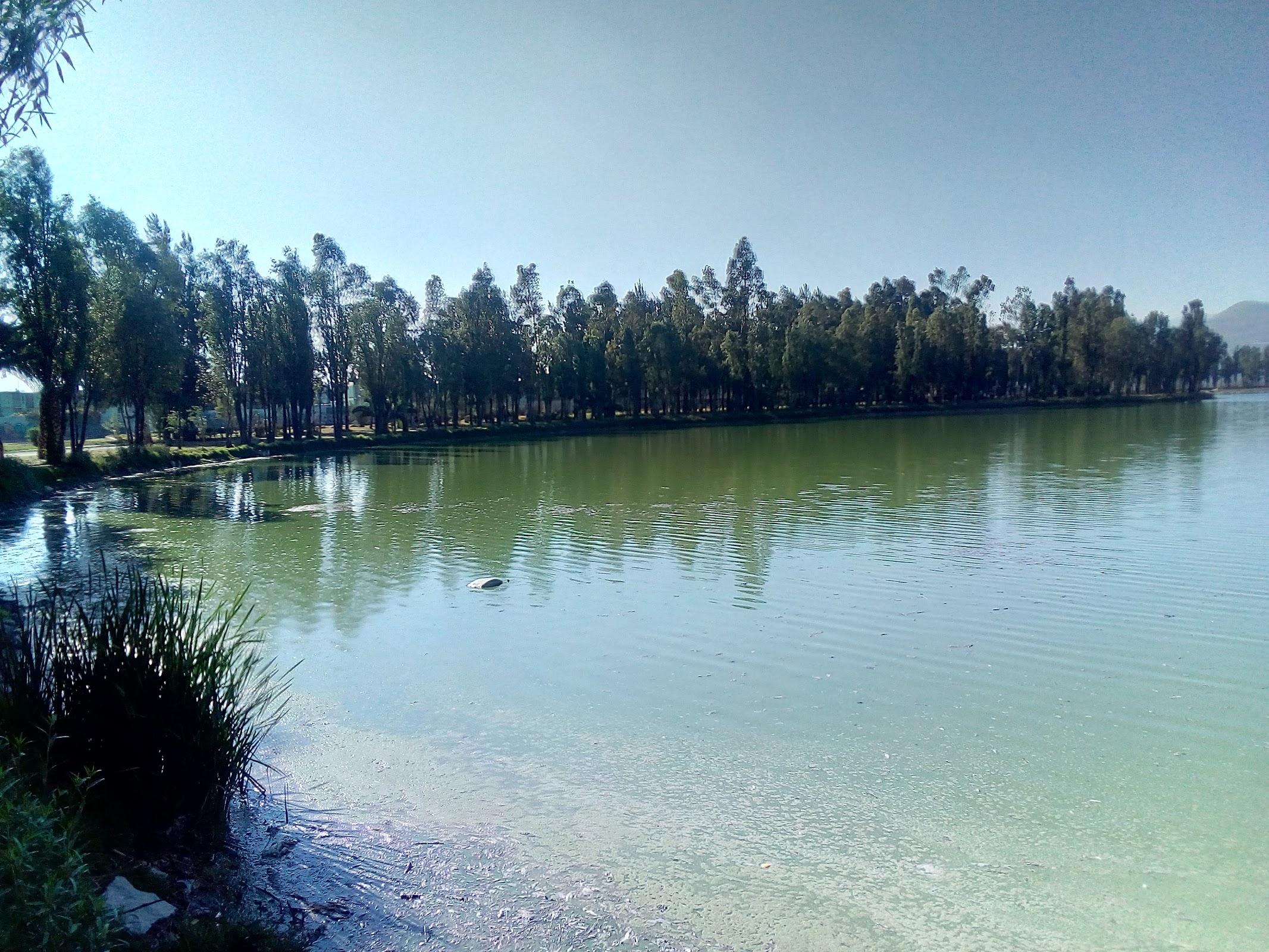 Bosque de Tláhuac galería 2