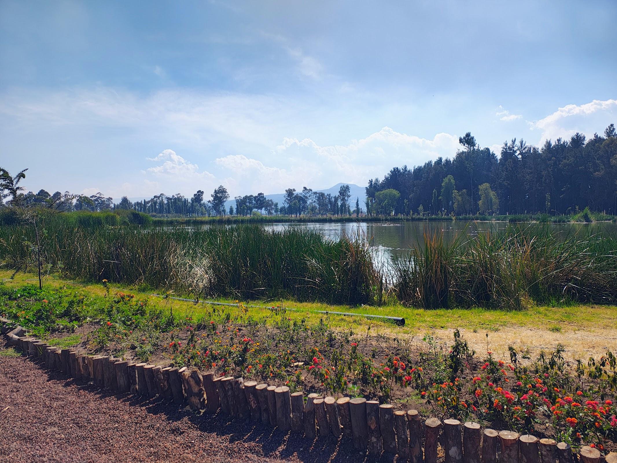 Bosque de Tláhuac galería 4
