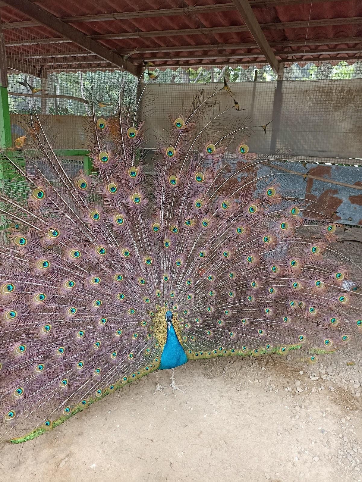 Bosque de Tláhuac galería 9