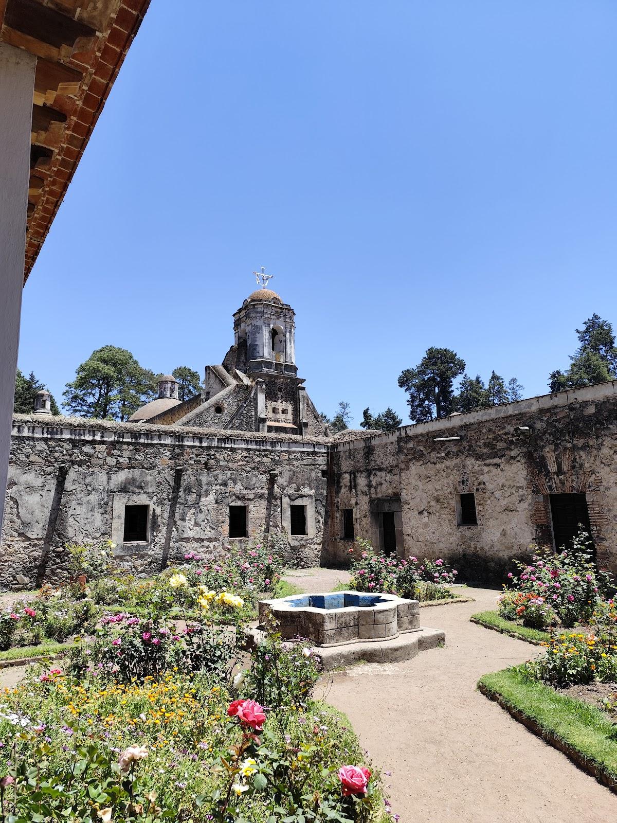Parque nacional Desierto de los Leones galería 5