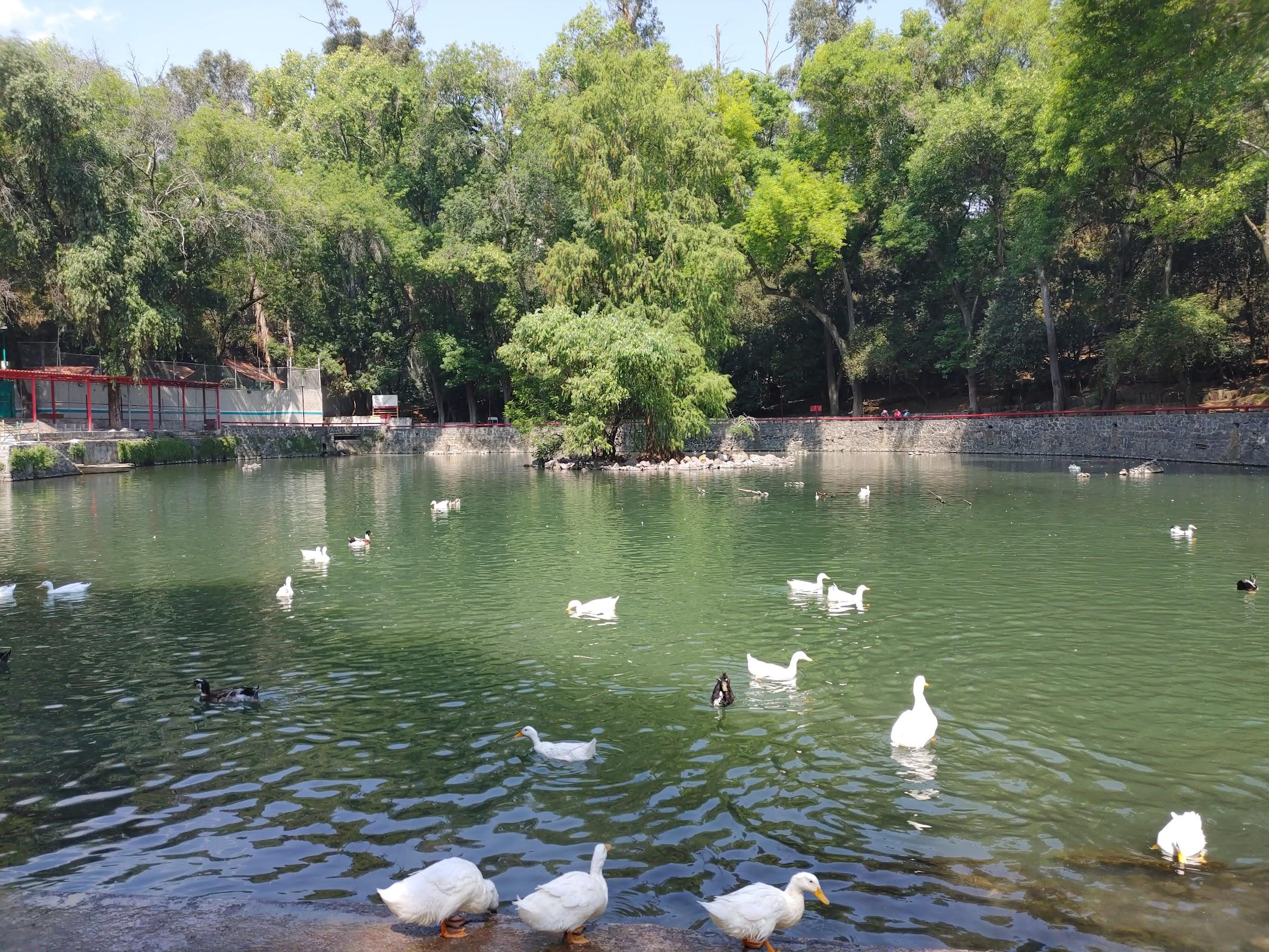 Fuentes Brotantes de Tlalpan galería 2