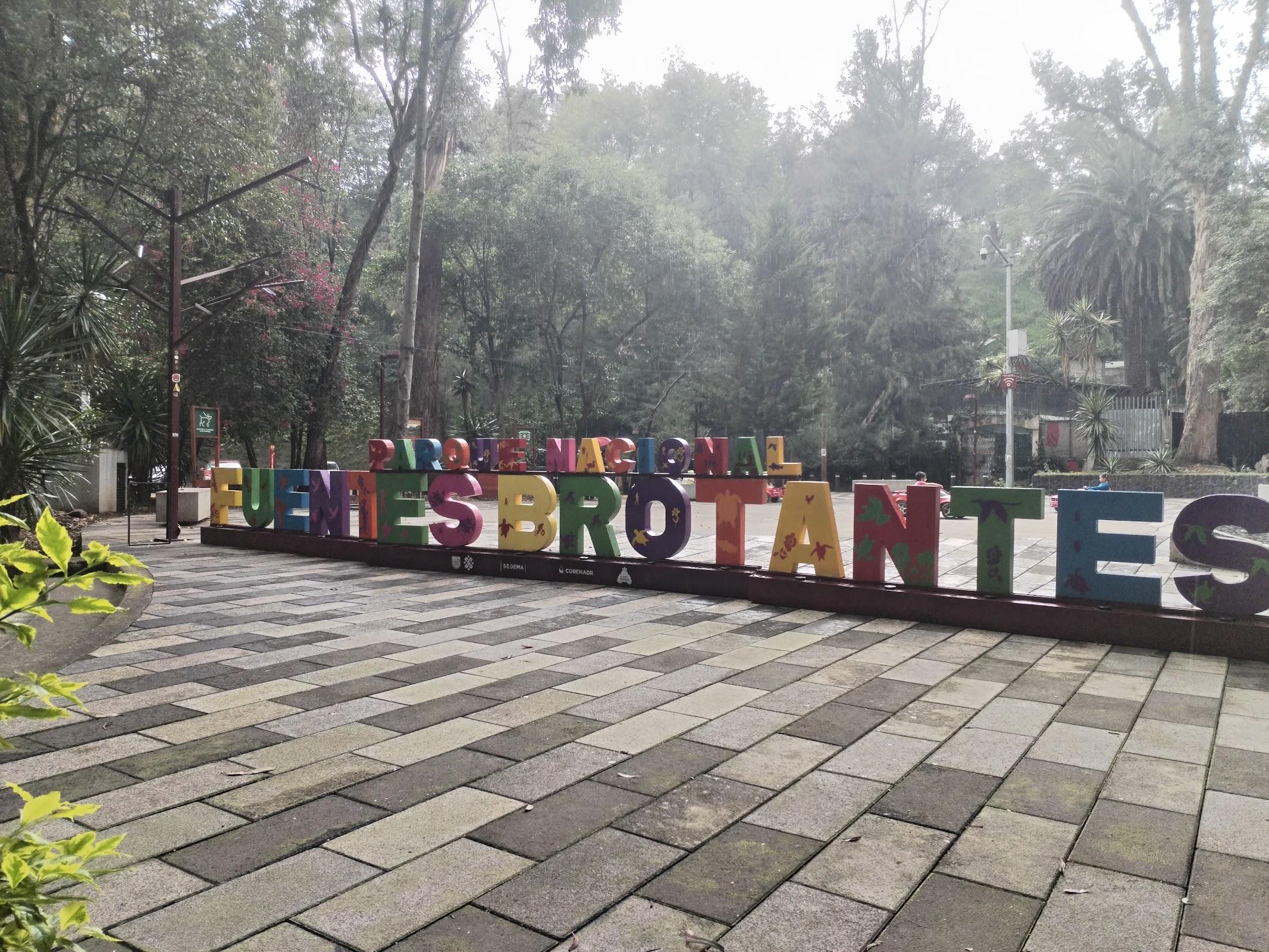 Fuentes Brotantes de Tlalpan galería 7