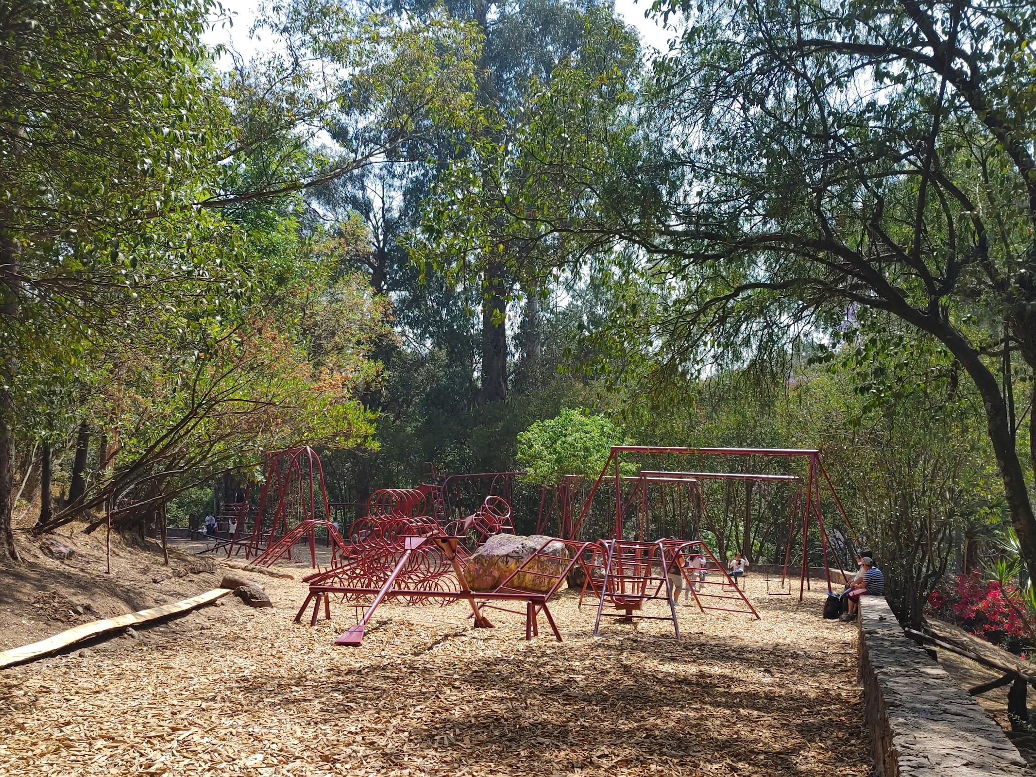 Fuentes Brotantes de Tlalpan galería 8