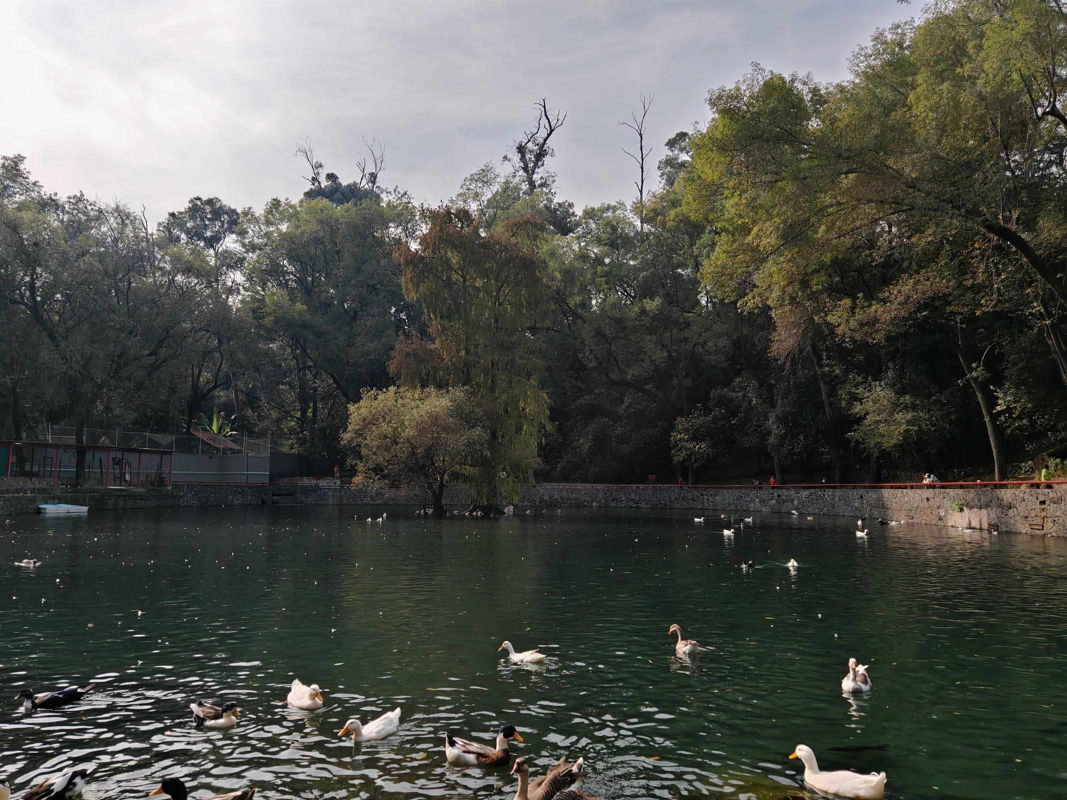 Fuentes Brotantes de Tlalpan galería 9