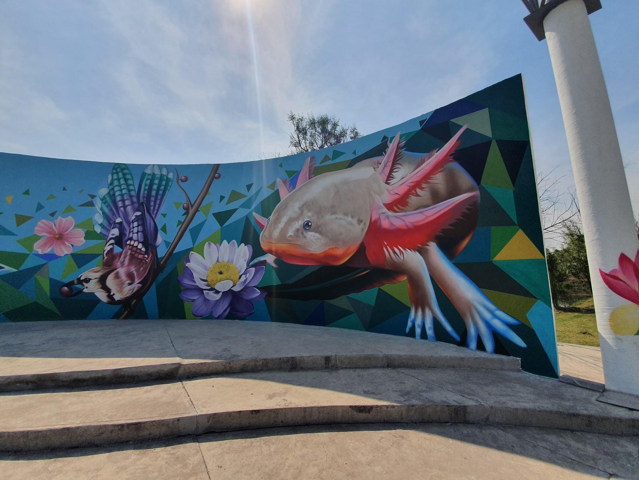 Parque Ecológico de Xochimilco galería 9