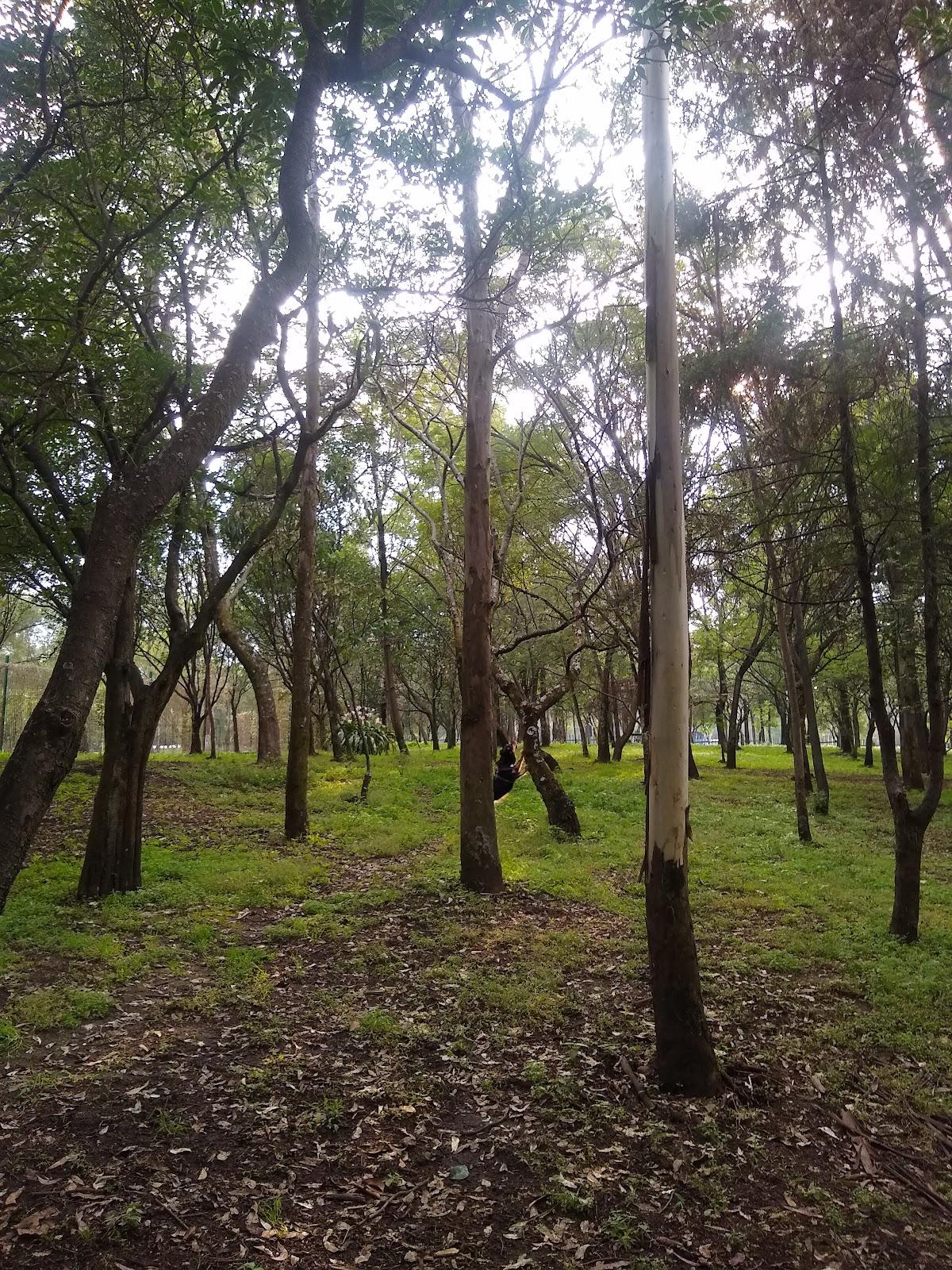 Parque Ecológico Las Águilas galería 3