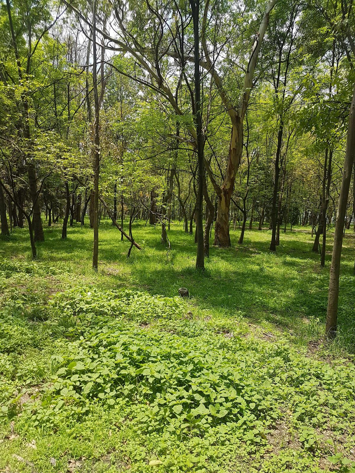 Parque Ecológico Las Águilas galería 9