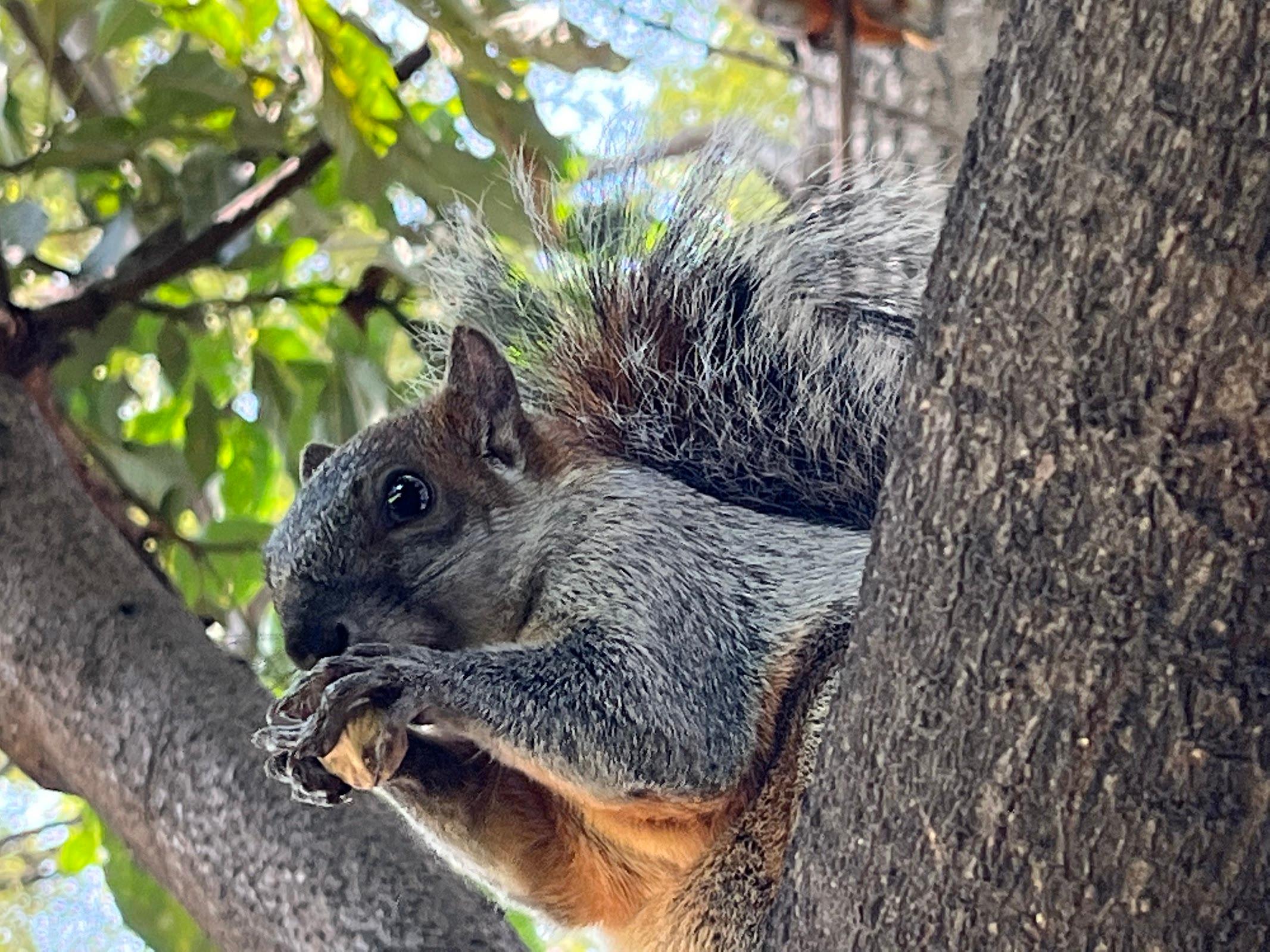 Parque Ecológico Loreto y Peña Pobre galería 4