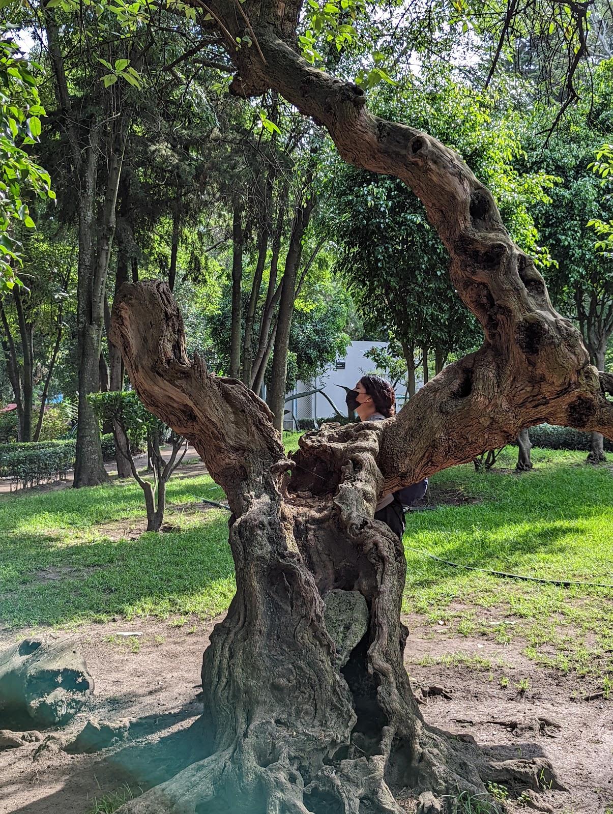 Parque Ecológico Loreto y Peña Pobre galería 8
