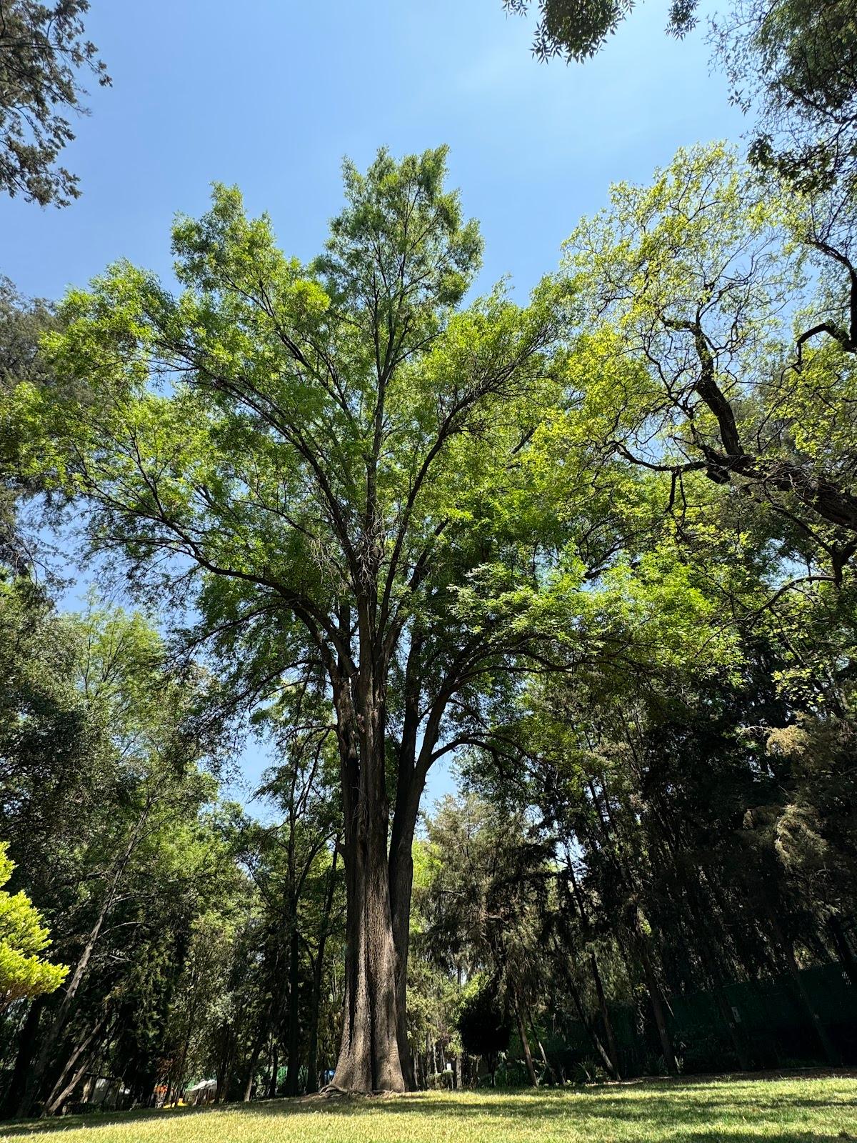 Parque Ecológico Loreto y Peña Pobre galería 10