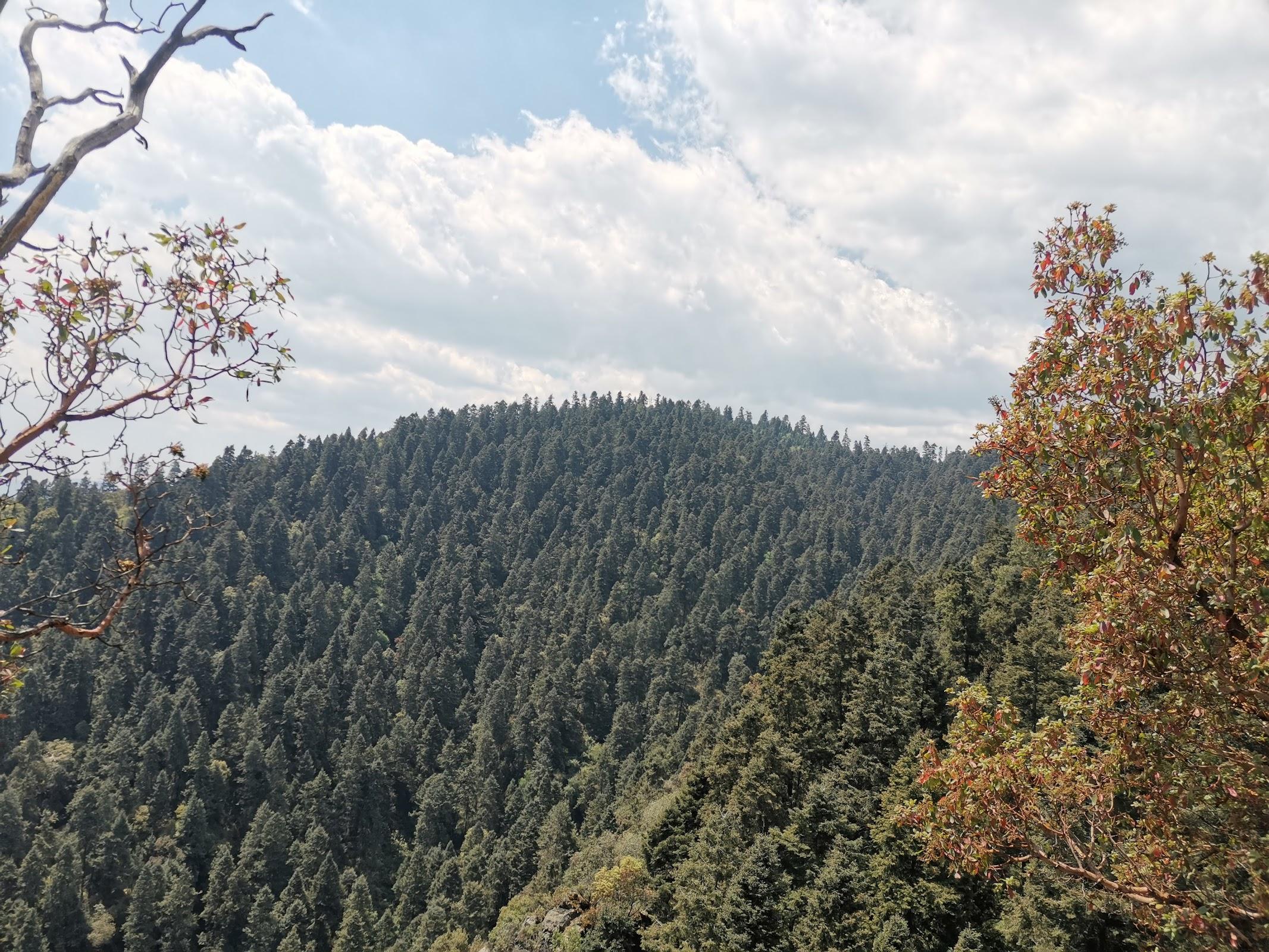 Parque Ecoturístico San Bernabé Ocotepec galería 4