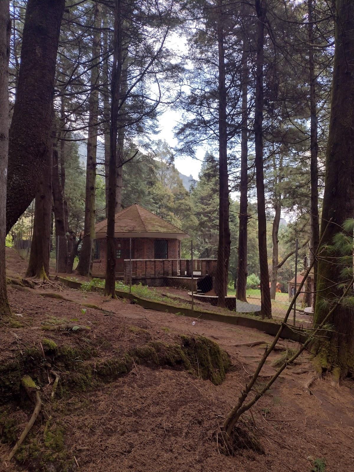 Parque Ecoturístico San Bernabé Ocotepec galería 7
