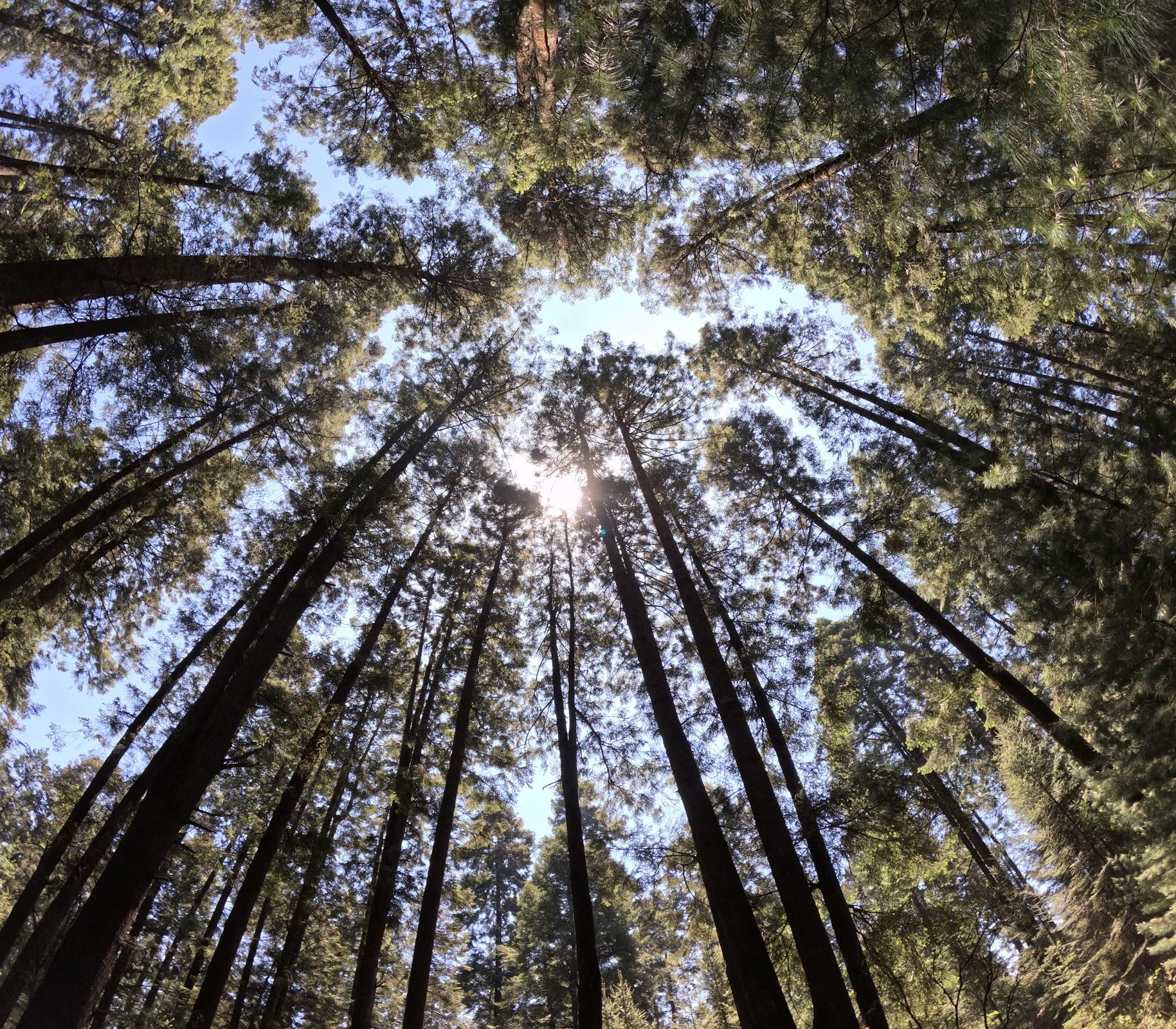 Parque Ecoturístico San Bernabé Ocotepec galería 9