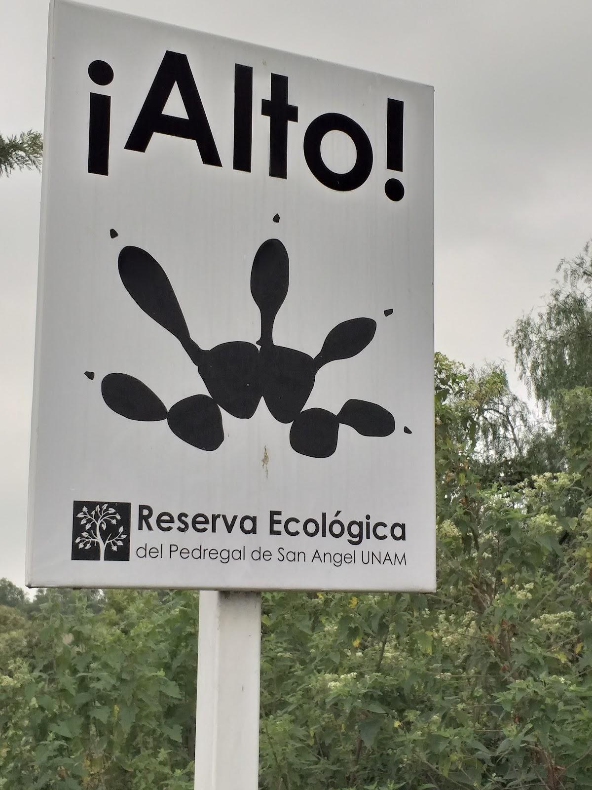 Reserva Ecológica del Pedregal de San Ángel: Núcleo Suroriente galería 3