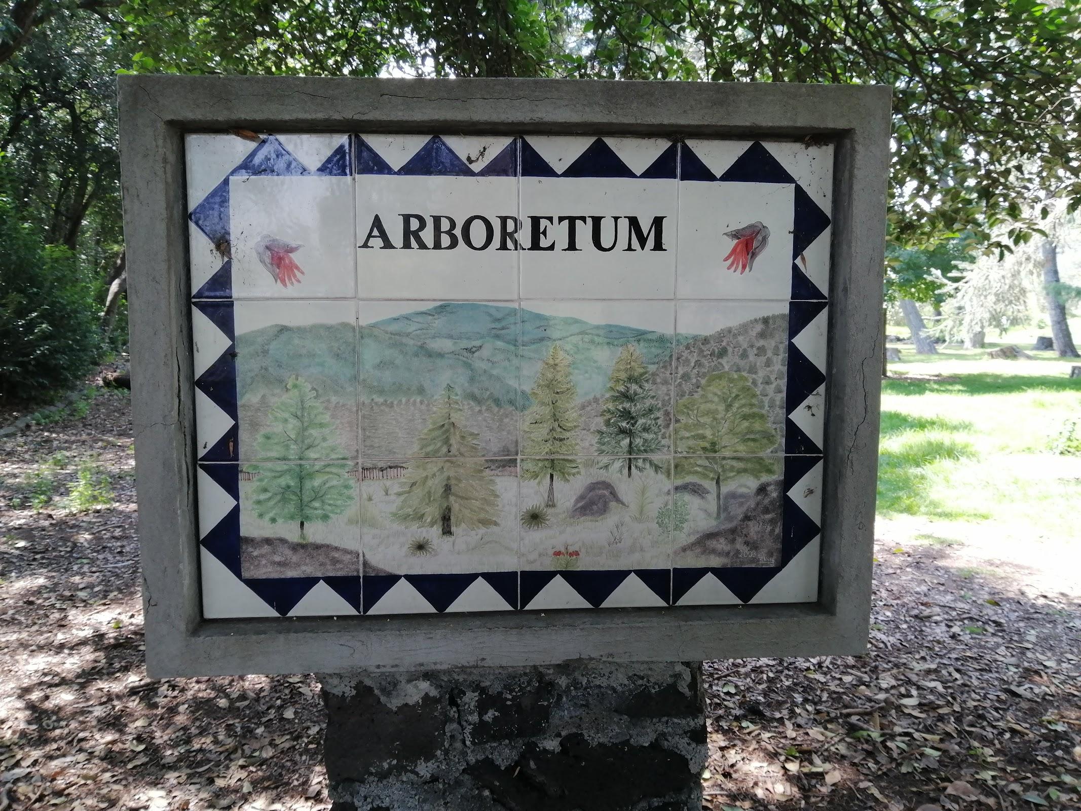 Reserva Ecológica del Pedregal de San Ángel: Núcleo Suroriente galería 4