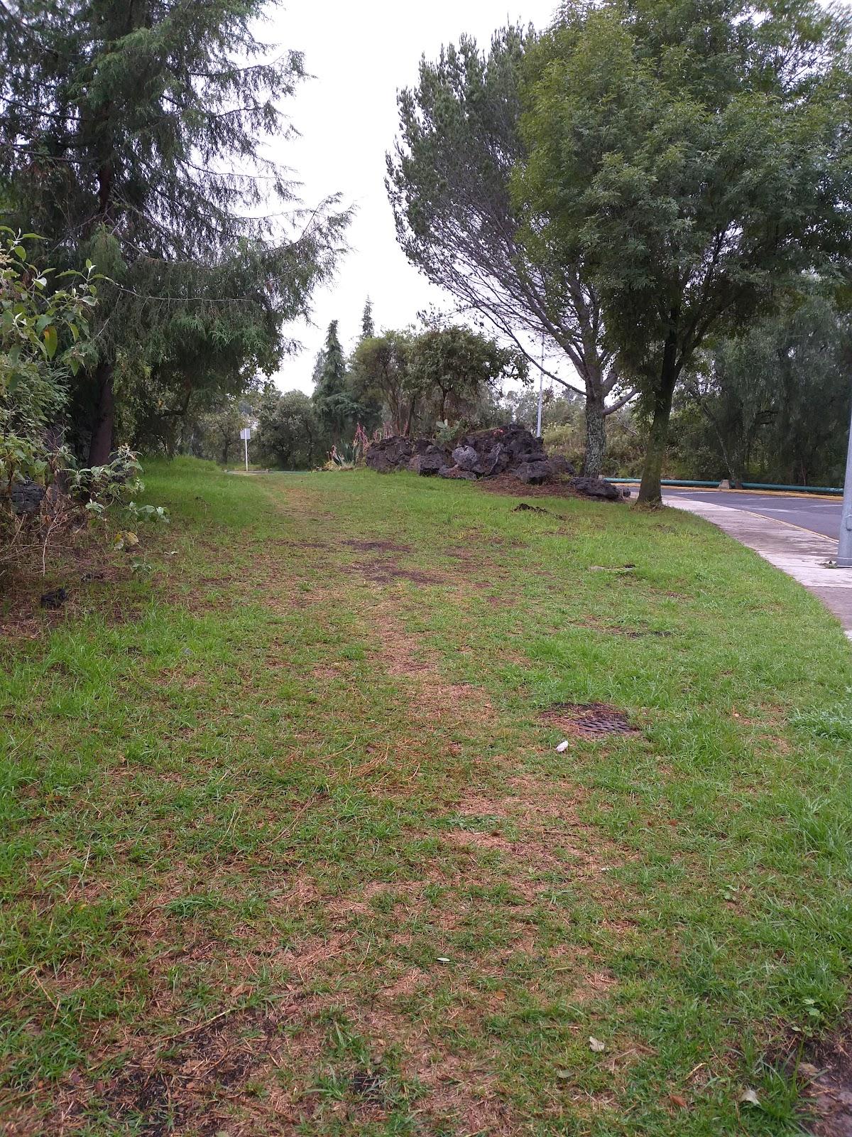 Reserva Ecológica del Pedregal de San Ángel: Núcleo Suroriente galería 10