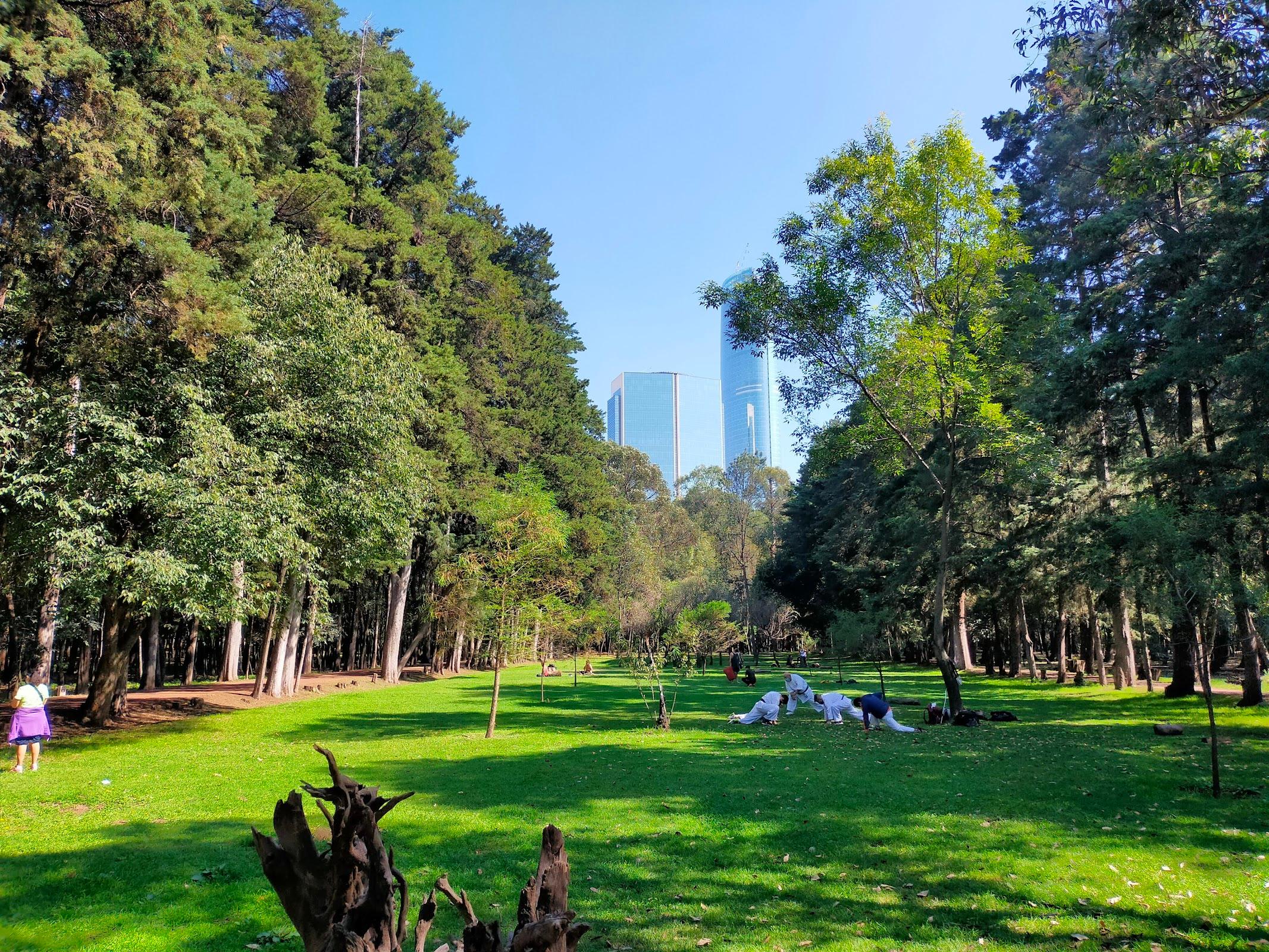 Viveros de Coyoacán galería 3