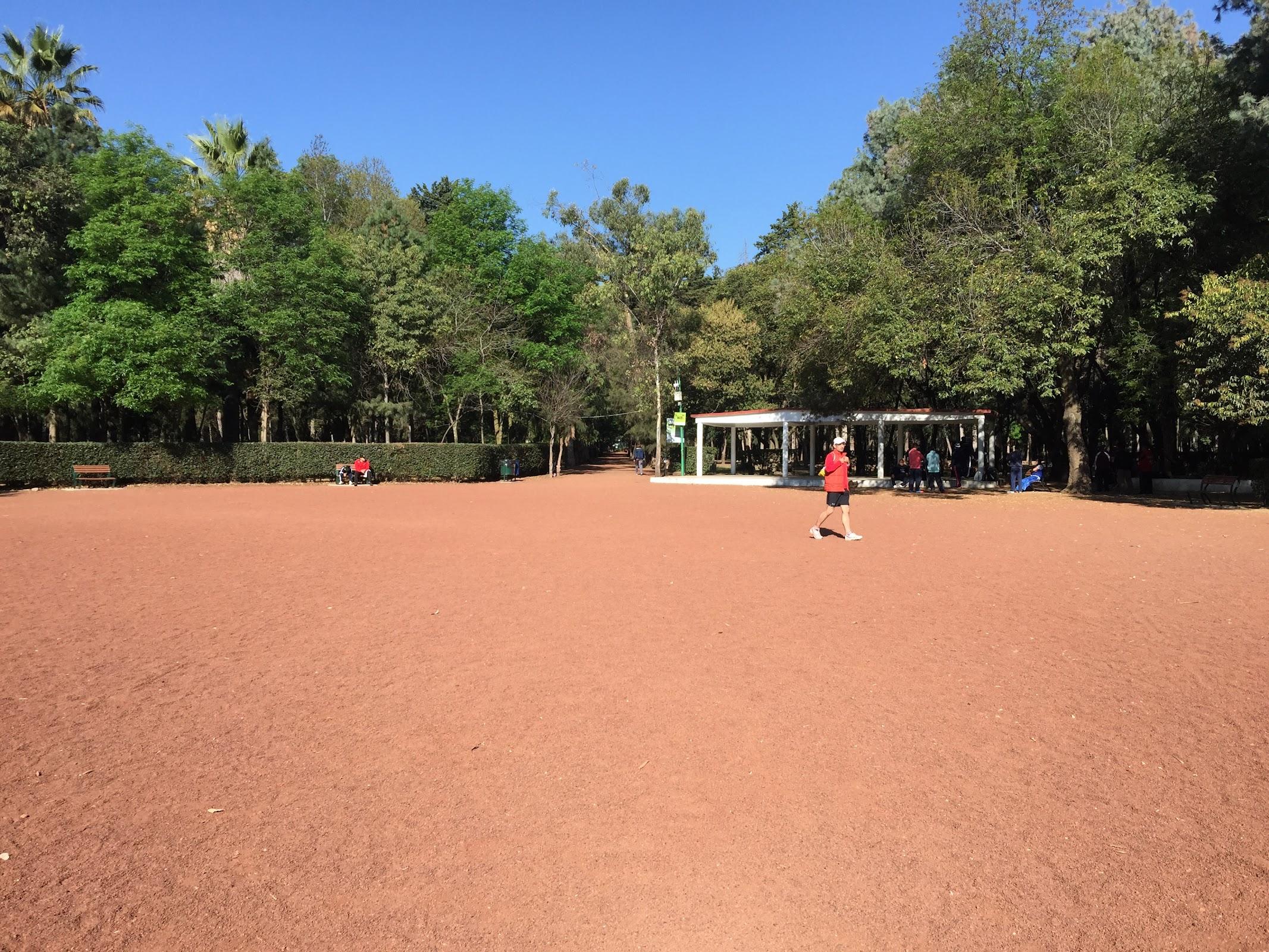 Viveros de Coyoacán galería 5