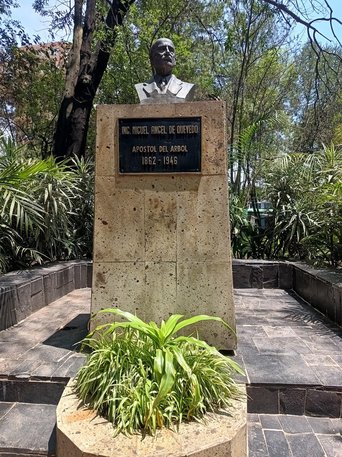 Viveros de Coyoacán galería 9