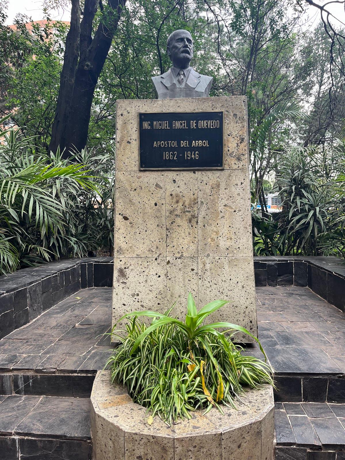 Viveros de Coyoacán galería 10