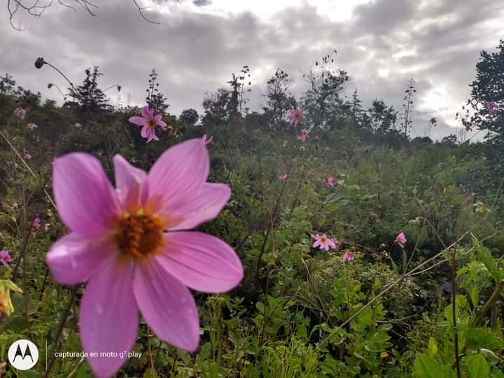 Área Natural Protegida Parque Ecológico de la Ciudad de México galería 5