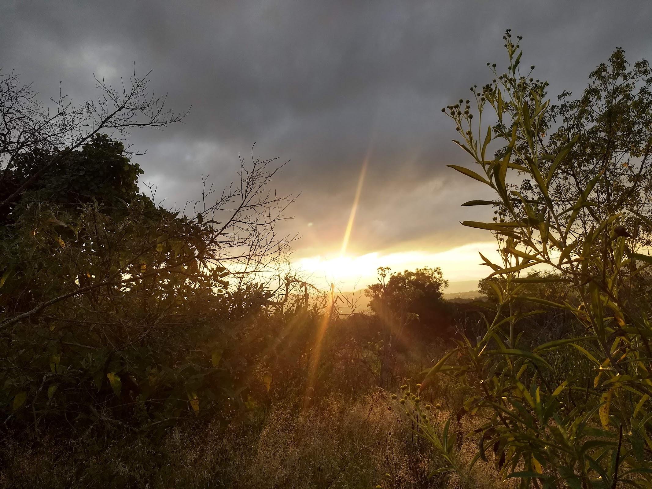 Área Natural Protegida Parque Ecológico de la Ciudad de México galería 6