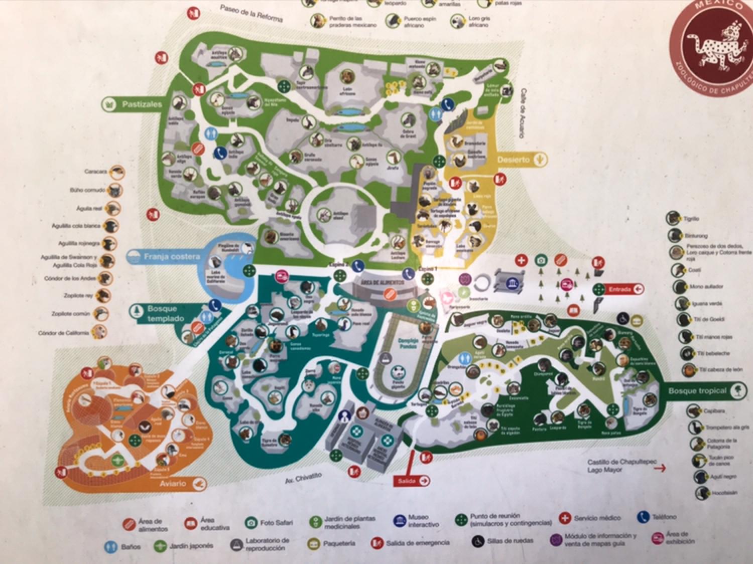 Zoológico de Chapultepec galería 4