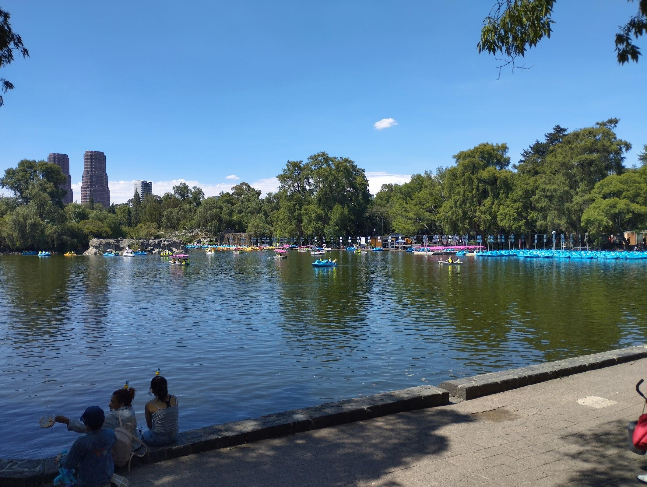 Zoológico de Chapultepec galería 5