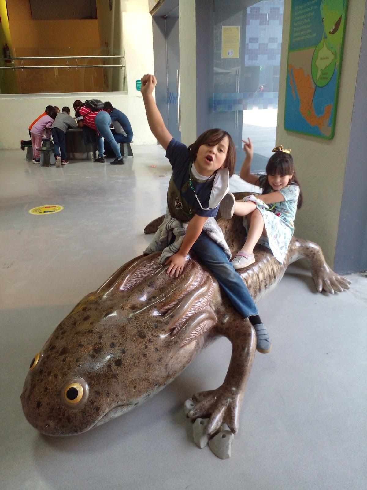 Papalote Museo del Niño galería 7