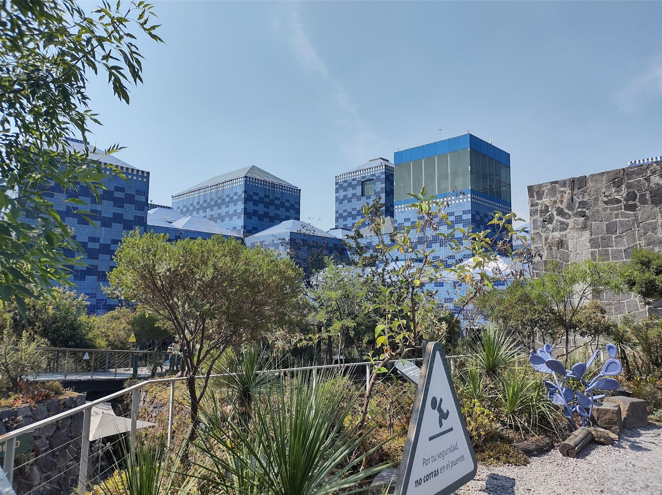 Papalote Museo del Niño galería 8