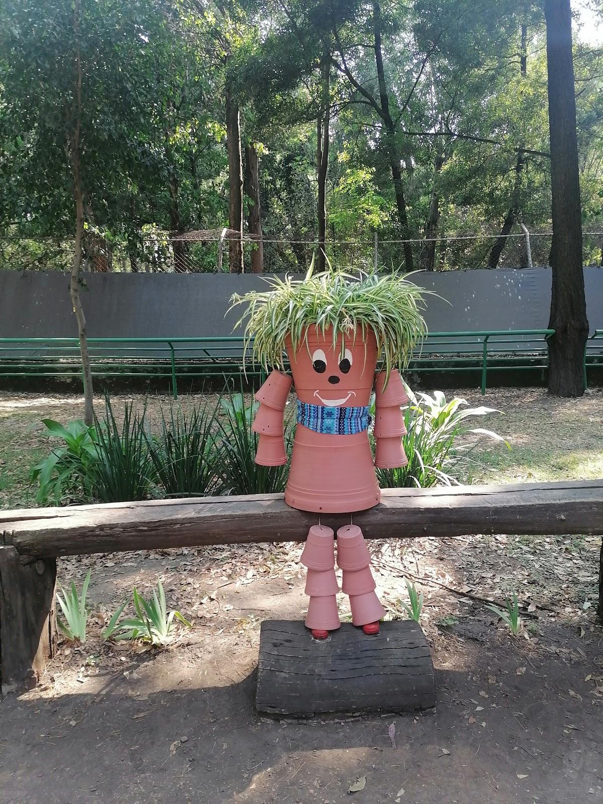 Zoológico Los Coyotes galería 7