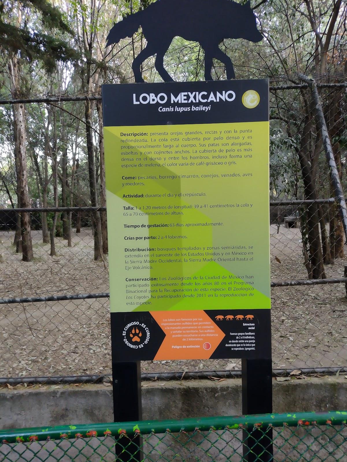 Zoológico Los Coyotes galería 10